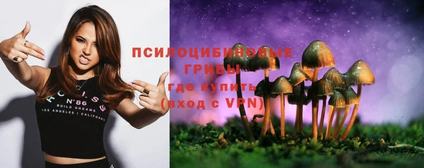 круглые Осинники